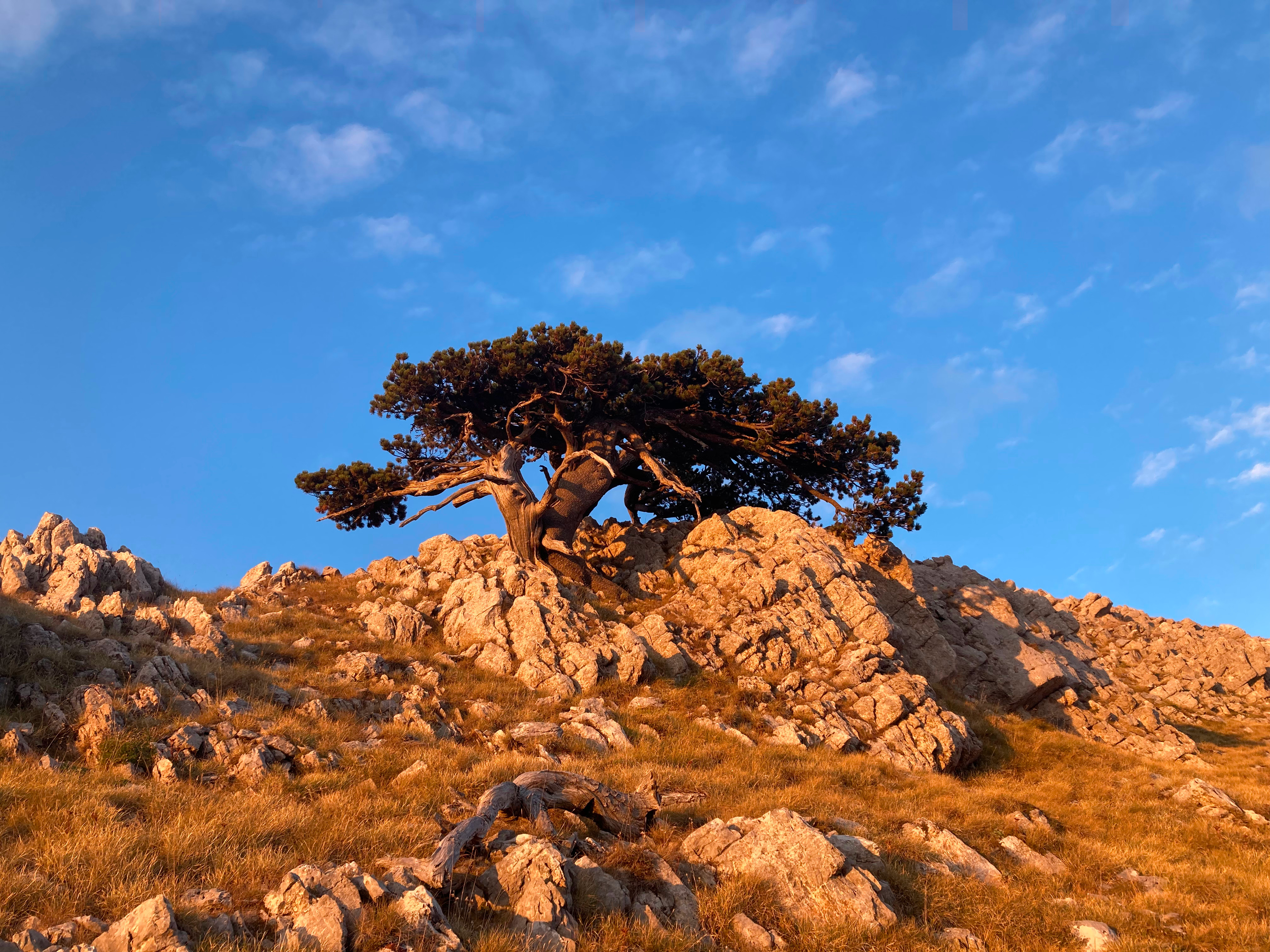 Le classiche: Monte Pollino (forse sotto le stelle)