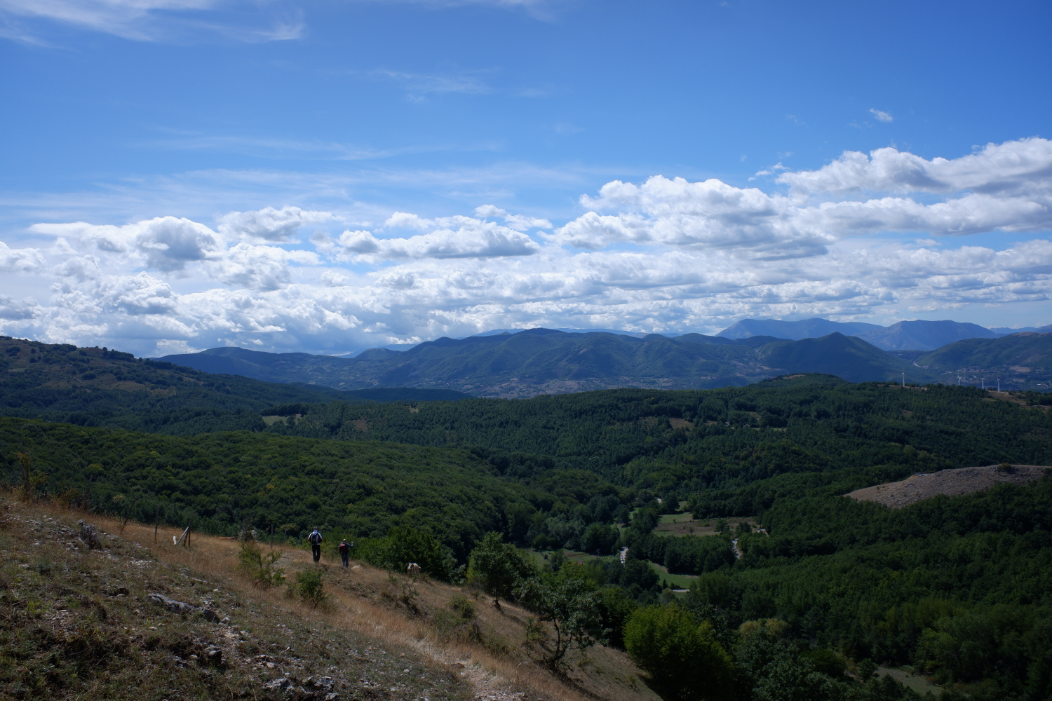 Monte Arioso – Faggio di San Michele