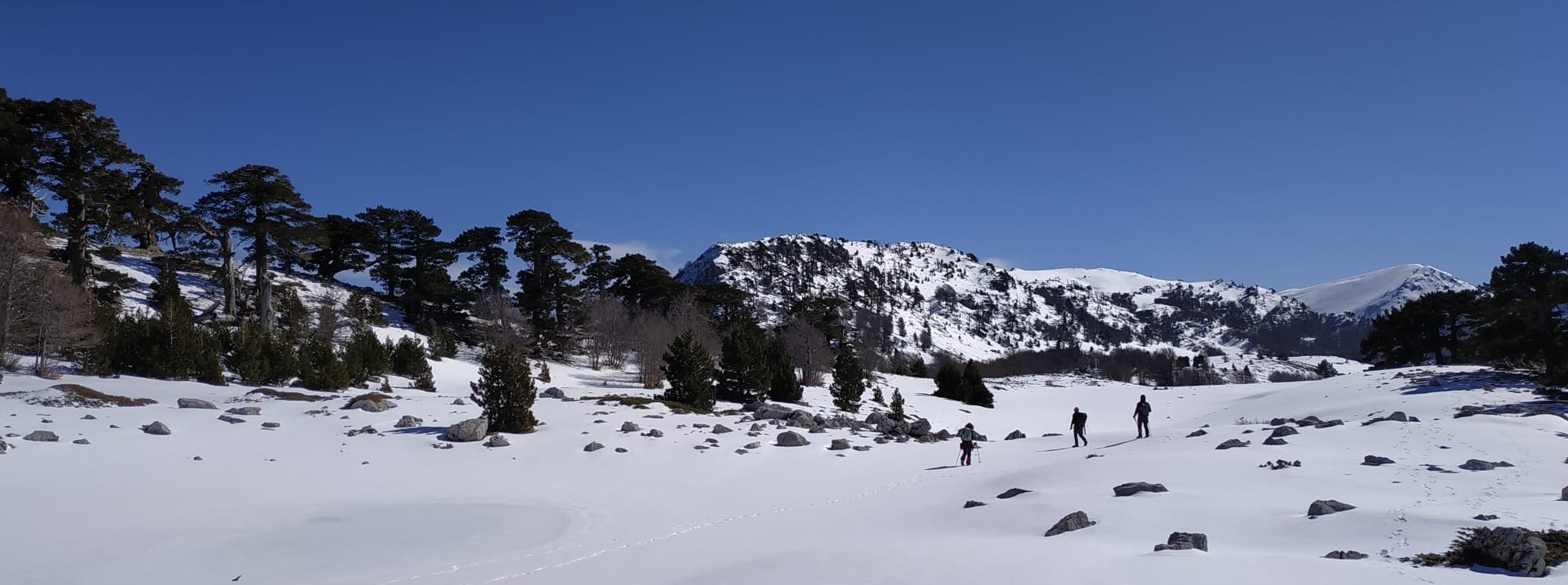 Trekking sulla neve