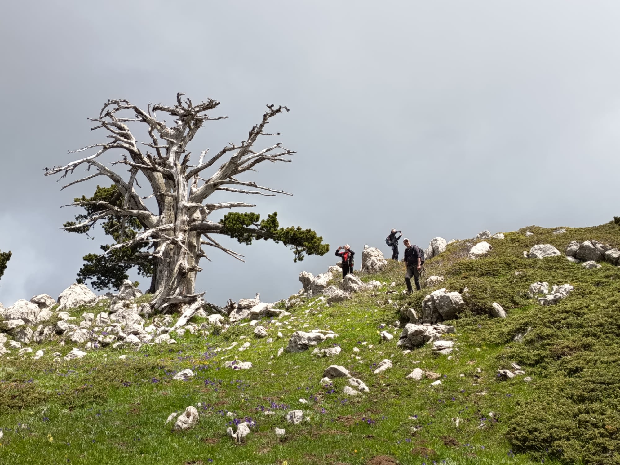 Insolita Serra di Crispo