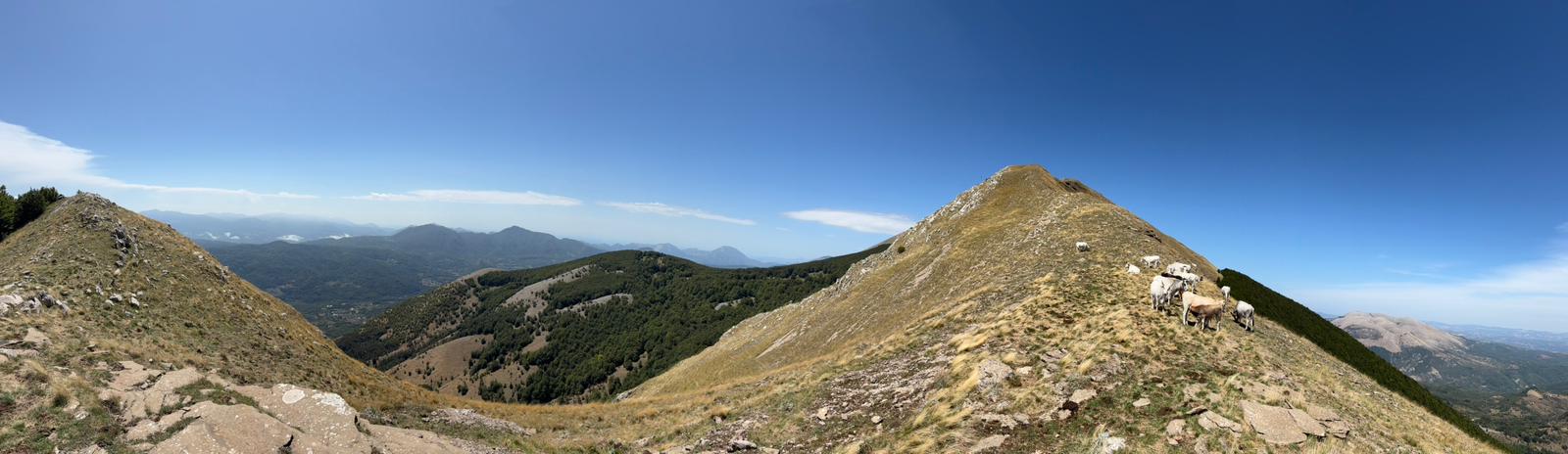 Le vette lucane: il Monte Alpi
