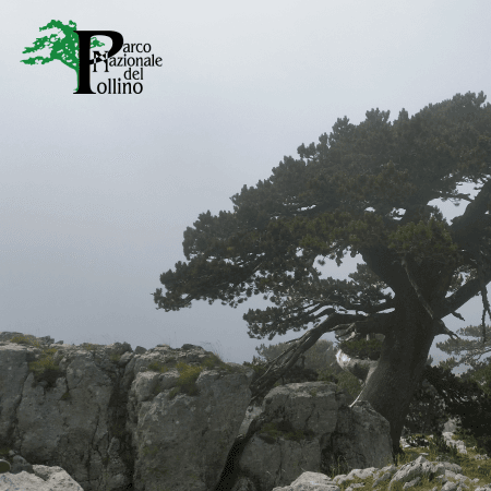 Parco Nazionale del Pollino