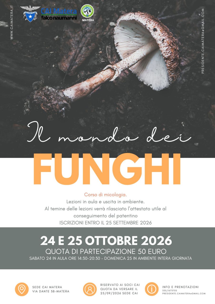 Il mondo dei funghi