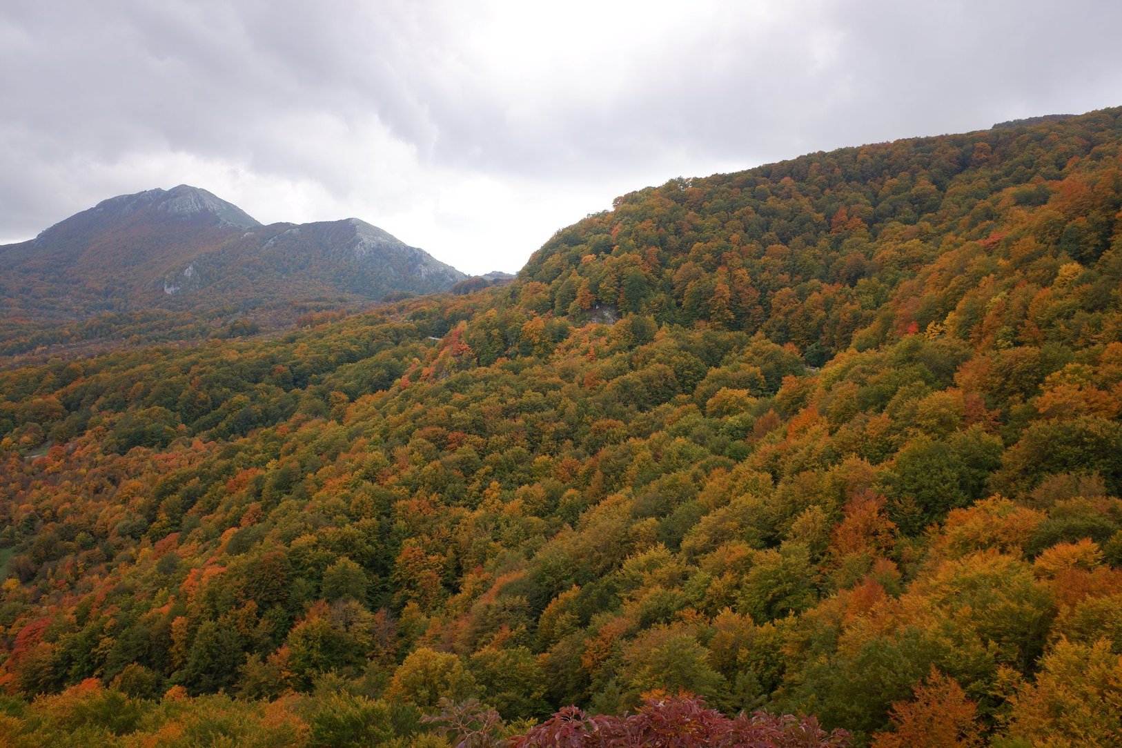 I colori dell’autunno lungo il “sentiero del binario”