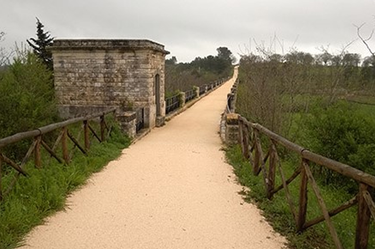 25 ottobre 2026        Sulla via dell’Acquedotto: dalla chiesa di Santa Maria Vergine del monte Carmelo alla pineta Ulmo